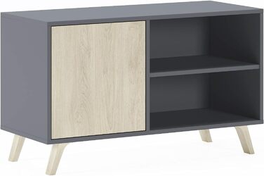 ТВ-тумба Skraut Home Wind 100 для вітальні, 95x57x40 см, сіра, для телевізорів 32-40 дюймів, з розпашними дверцятами, колір Пучіні