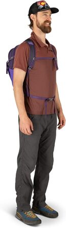Рюкзак Osprey Daylite Plus універсальний, 20 л, Dream Purple, один розмір