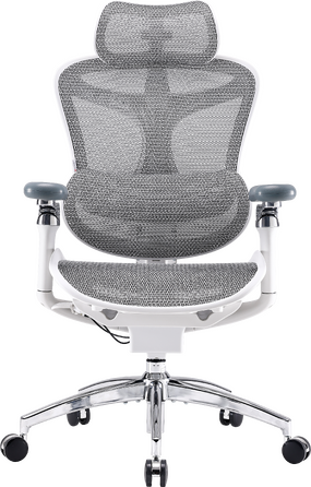 Крісло офісне Sihoo DORO C300 Pro Mesh White