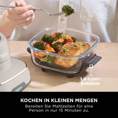 Ninja CRISPi Airfryer - фритюрниця без олії, 3.8 л, 4-в-1, 1700 В, FN101EUSTGD (Stone)