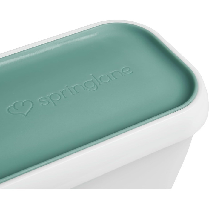 Контейнери для морозива SPRINGLANE, 2 шт., 1 л, м'ятний, BPA-free, харчовий пластик, для зберігання та заморожування