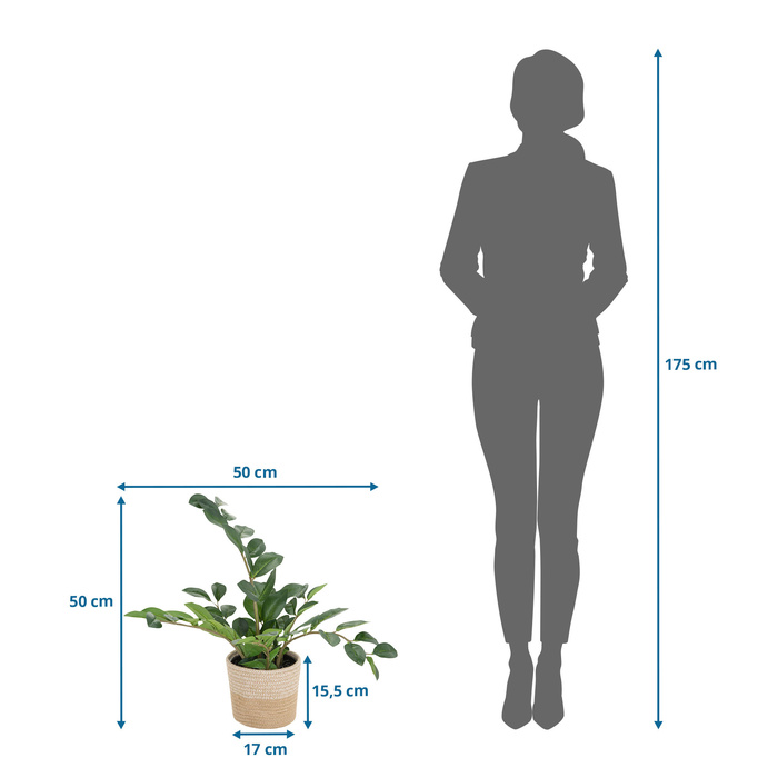 Штучна рослина / штучне дерево ZAMIE Zamioculcas green hjh ОФІС