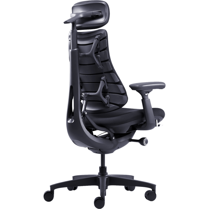 Крісло офісне ергономічне LiberNovo Omni Midnight Black 48 см