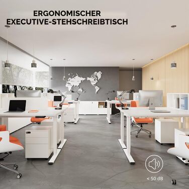 Регульований по висоті письмовий стіл SANODESK 120×80 см, електричний стіл для роботи стоячи та сидячи, два двигуни, пам'ять, USB-порт, захист від зіткнень (Сірий/Чорний)
