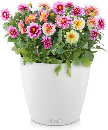 Горщик для квітів LECHUZA CLASSICO Color 35 білий 13210, 36x36x32.5 см