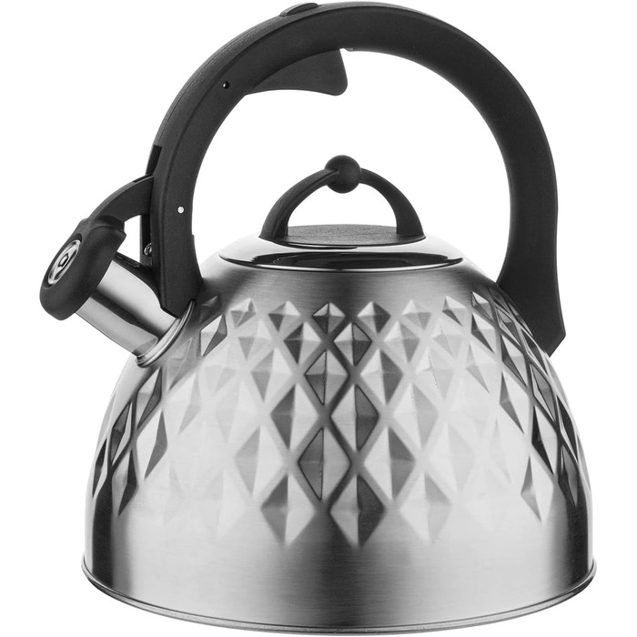 Чайник FLORINA Fenny Satin Induktion 2.5L з нержавіючої сталі, Cool-Touch, сучасний дизайн