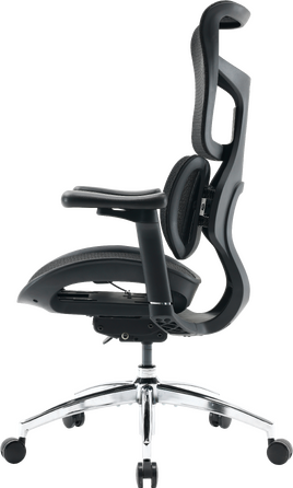 Крісло офісне Sihoo DORO S100 Mesh Black