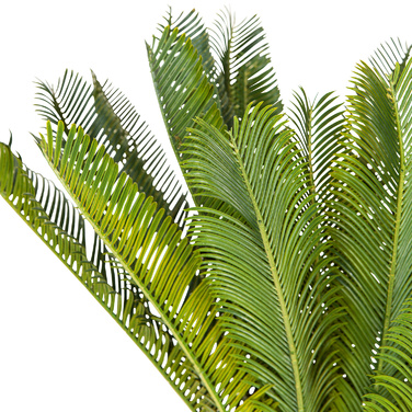 Штучна рослина / штучна пальма CYCAS пластикова зелена hjh ОФІС