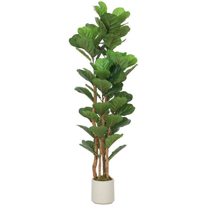 Штучна фіганова пальма (Ficus lyrata) у горщику, з 71 листям, масивний дерев'яний стовбур, 50 x 50 x 150 см, зелена