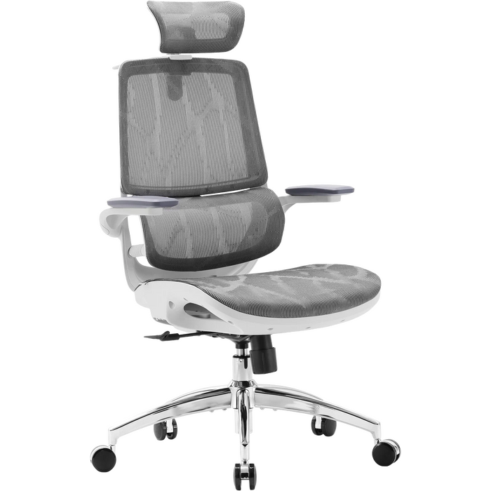 Крісло офісне Sihoo M59AS Mesh Gray