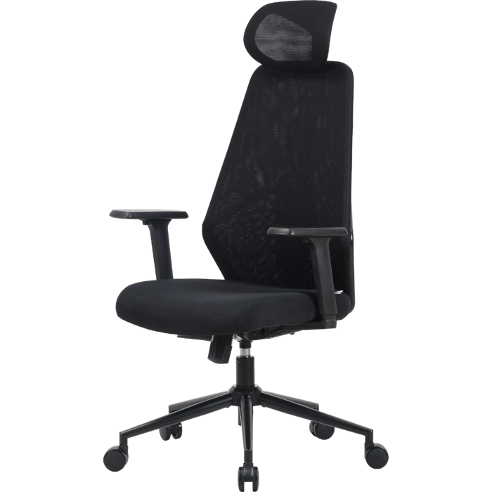 Крісло офісне OfficePro Fusion OC577B Black