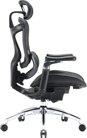 Крісло офісне Sihoo DORO C300 Pro Mesh Black
