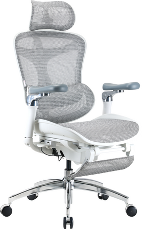 Крісло офісне з підставкою для ніг Sihoo DORO C300 Pro Mesh White with footrest