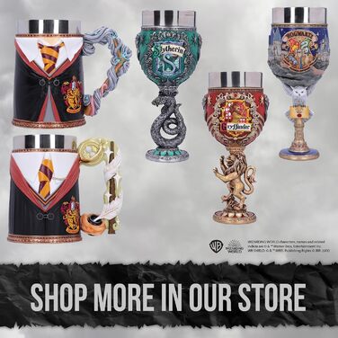Офіційна снігова куля Nemesis Now Harry Potter «Перший день у Гоґвортсі», 19,5 см