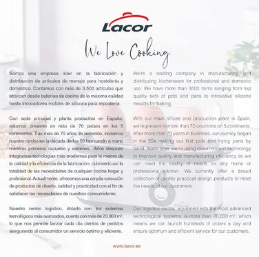Електрична яйцеварка Lacor TRI OVUM з нержавіючої сталі 18/10, BPA-free, 3 режими приготування, автоматичне вимкнення, 3 яйця, сіра
