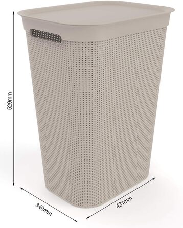 Кошик для білизни Rotho Brisen 50 л з кришкою і ручками, пластик PP, BPA-free, антрацит