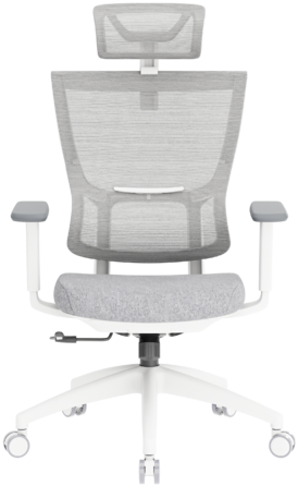 Крісло офісне OfficePro Elegant OC600-W-LG-LG