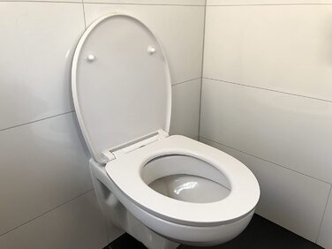 Кришка для унітазу ADOB Design, кольорова, з мікроліфтом, знімна для очищення