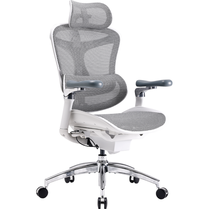 Крісло офісне Sihoo DORO C300 Pro Mesh White