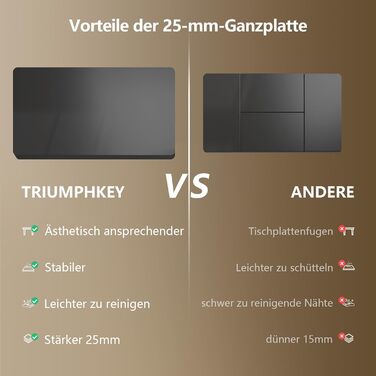 Електричний регульований стіл Triumphkey 200x80 см, стоячий стіл з двома двигунами, сенсорний екран, USB-A, кабель-менеджмент, чорний