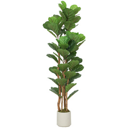 Штучна фіганова пальма (Ficus lyrata) у горщику, з 71 листям, масивний дерев'яний стовбур, 50 x 50 x 150 см, зелена