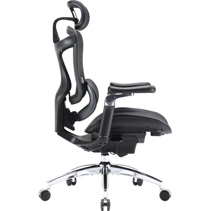 Крісло офісне Sihoo DORO C300 Pro Mesh Black