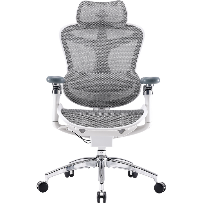 Крісло офісне Sihoo DORO C300 Pro Mesh White