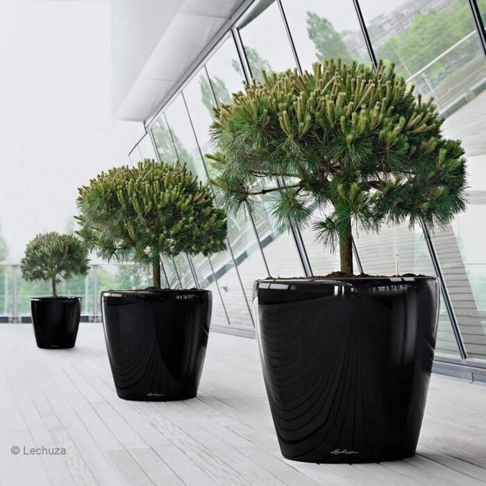 Горщик Lechuza Classico Premium 21 LS Комплект, Білий (70x70x64.5 см, Тауп Глянцевий, Однотонний)