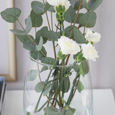 Скляна ваза для тюльпанів TREND FOR HOME Zinnia, прозора, кругла, 17 см, ⌀ 11.9 см, настільна, бочкоподібна