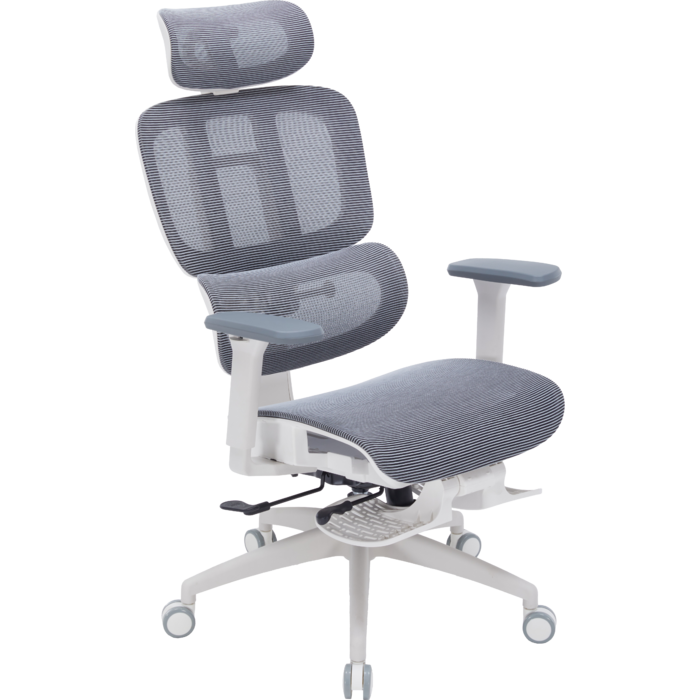 Крісло офісне OfficePro Skyline OC750-W-DG-DG