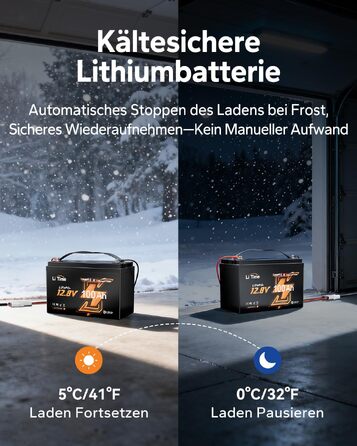 LiFePO4 акумулятор LiTime 12V 100Ah з Bluetooth для кемпінгу, житлових будинків та електромоторів човнів