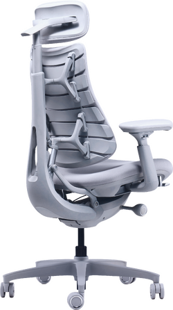 Крісло офісне ергономічне LiberNovo Omni Space Gray 48 см