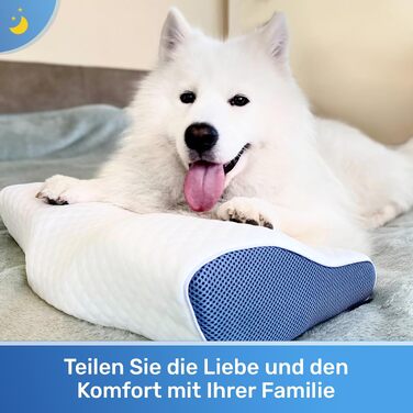 Ортопедична подушка з ефектом пам'яті Derila Memory Foam для шиї та голови, для сну на боці, розмір King Size (60 x 35 см)