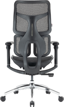 Крісло офісне Sihoo DORO S100 Mesh Black