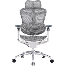 Крісло офісне Sihoo DORO C300 Pro Mesh White