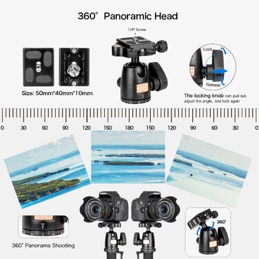 Алюмінієвий монопод Koolehaoda зі стійкою та кульовою головкою K-09 для DSLR камер, висота 175 см
