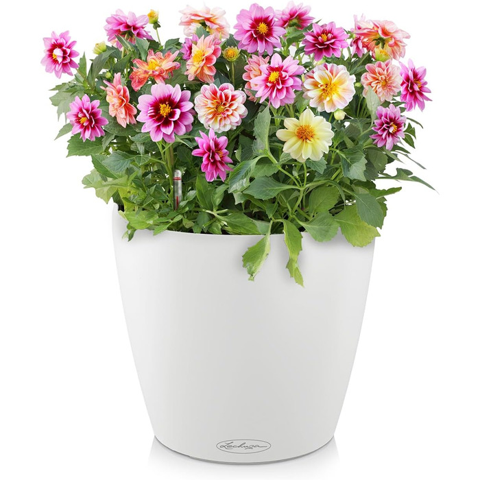 Горщик для квітів LECHUZA CLASSICO Color 35 білий 13210, 36x36x32.5 см