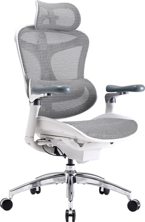 Крісло офісне Sihoo DORO C300 Pro Mesh White