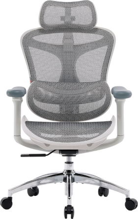 Крісло офісне Sihoo DORO C300L Mesh White