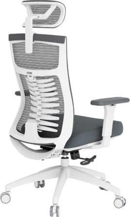 Крісло офісне OfficePro Balance OC550-W-DG-DG
