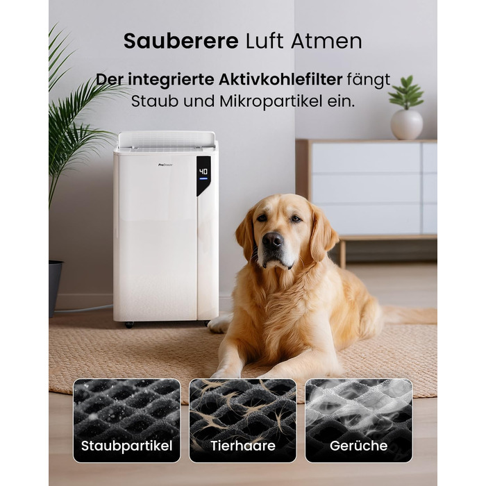 Електричний осушувач повітря Pro Breeze 20L - для приміщень до 35м², з функцією сушіння білизни, датчиком вологості, таймером та фільтром. Захист від плісняви. Керування через додаток.