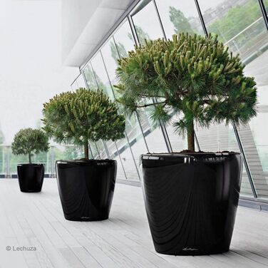 Горщик Lechuza Classico Premium 21 LS Комплект, Білий (70x70x64.5 см, Тауп Глянцевий, Однотонний)