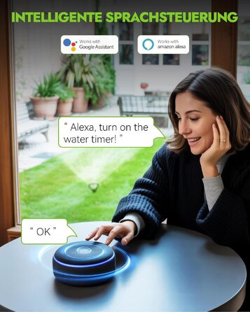 Таймер для поливу Rainpoint WiFi з латунними входами/виходами, розумне керування, APP, голосове управління, автоматичний полив саду та газону, 6 програм (Зелений, 1 зона)