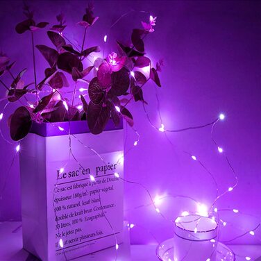 Гірлянда StarryEver 50 LED UV, 5 м, на батарейках та USB, фіолетове ультрафіолетове світло, для декору, вечірок та Хелловіну, з пультом ДУ, мідний дріт, для дому та вулиці