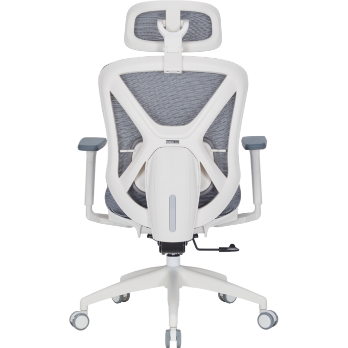 Крісло офісне Officepro Atlas OC630-W-DG-DG