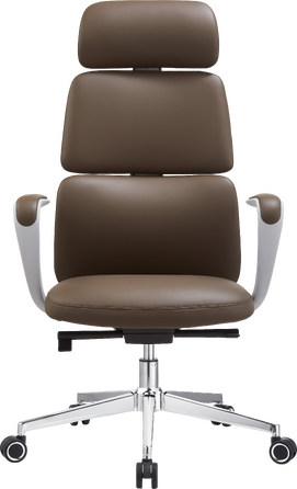 Крісло офісне OfficePro Delicate OC690BR Brown PVC